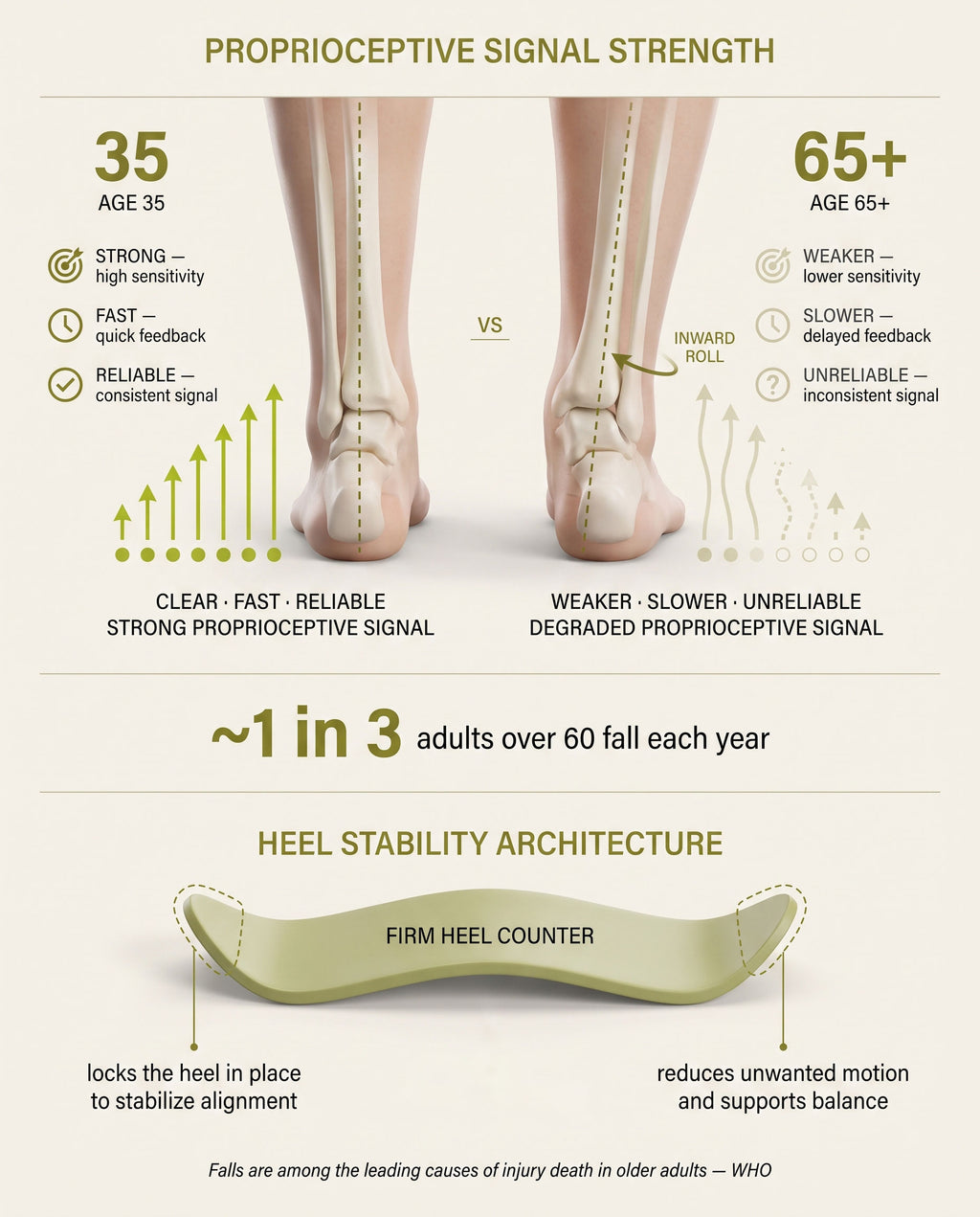 Diagram comparing balance-signal strength at age 35 versus 65+, and how the firm heel counter supports stability