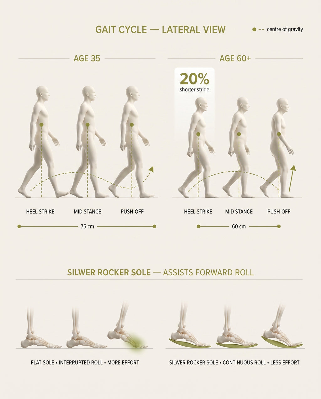 Your stride has been quietly recalibrating.